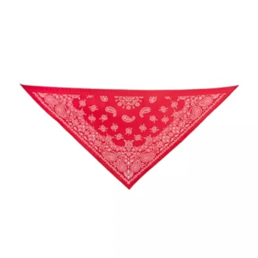 PetSmart Thrills & Chills Cowboy Hat Bandana Dog Cat Costume L/XL